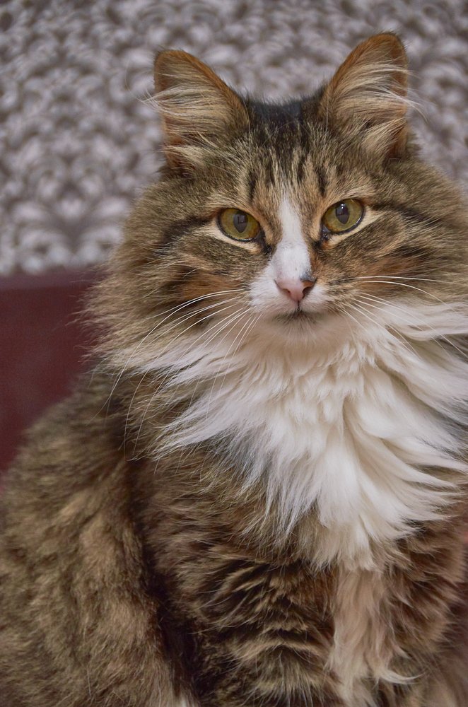 Photograph by Камиль Ахметшин