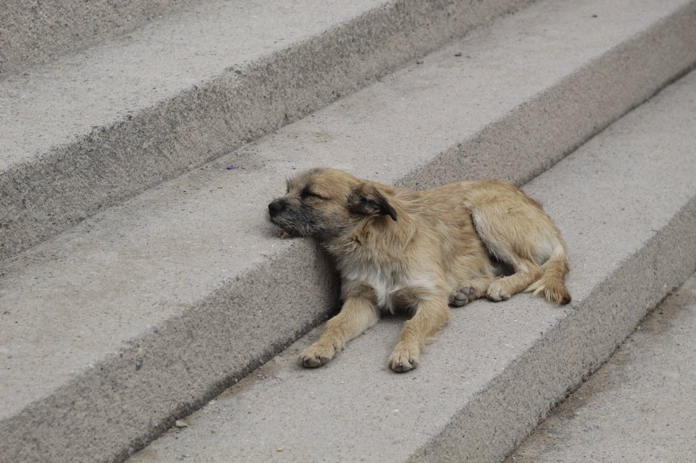 Photograph by Alberto Garcia morales