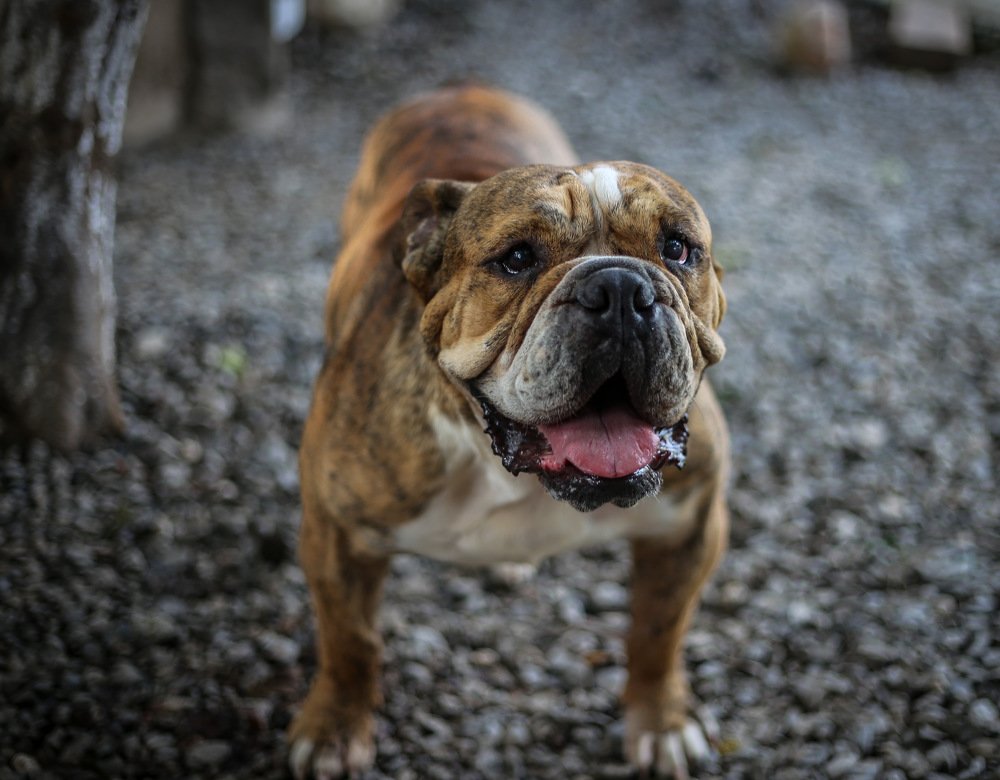 Photograph by Alberto Garcia morales