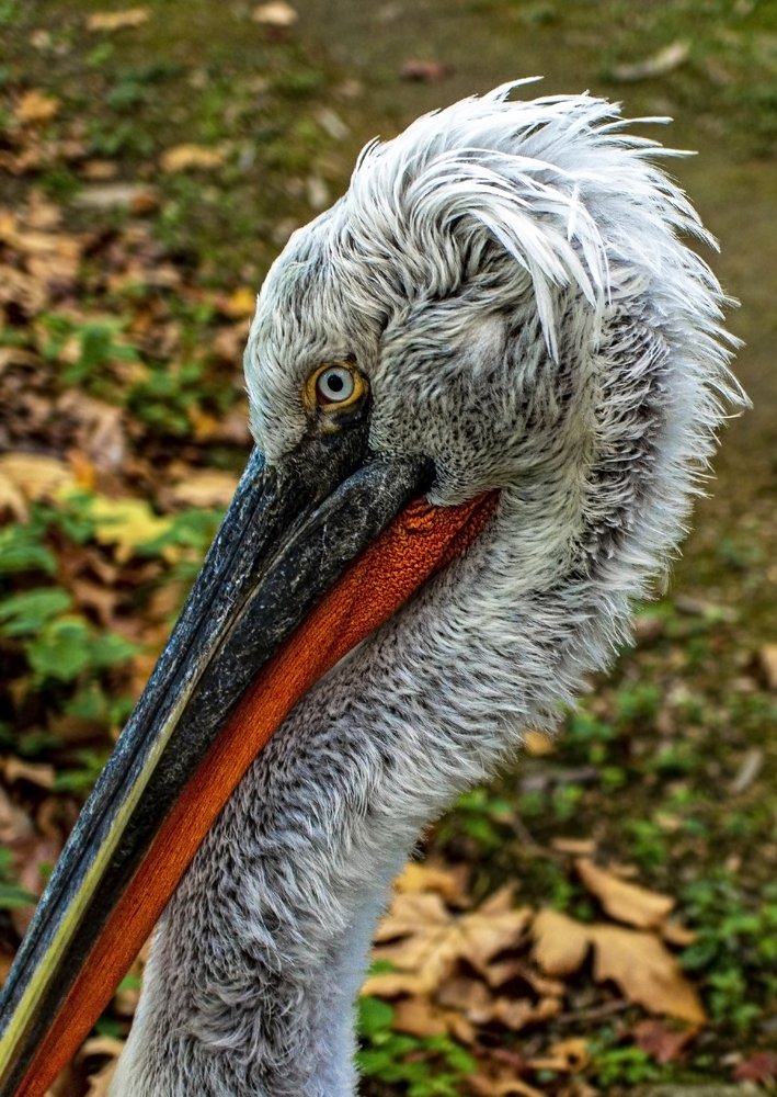 Photograph by Елена Гоосен