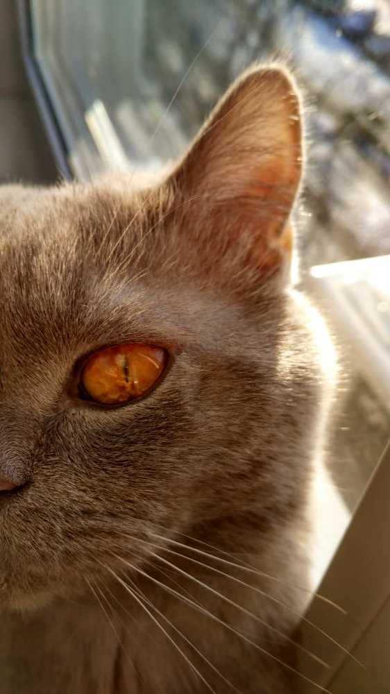 Photograph by Елена