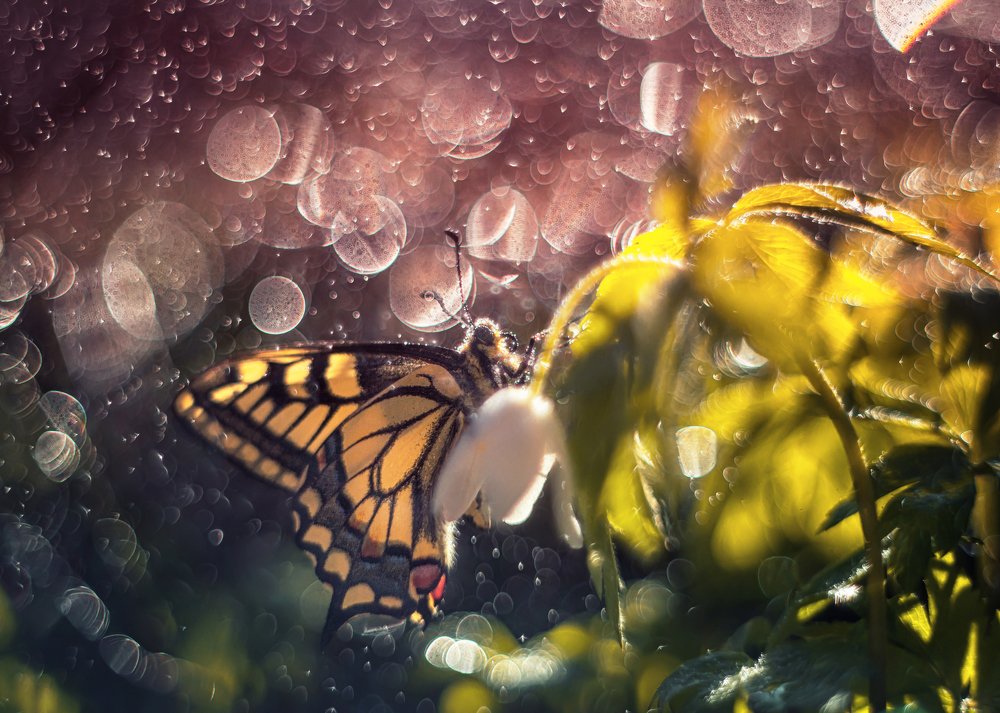 Photograph by Анастасия Третьякова