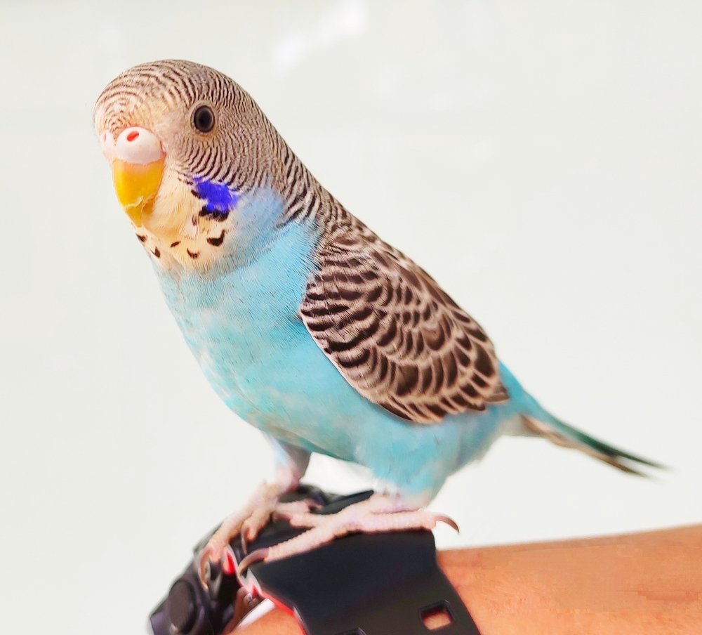 Photograph by Valdez Jonathan