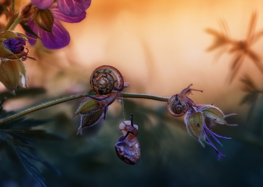 Уйду я от вас