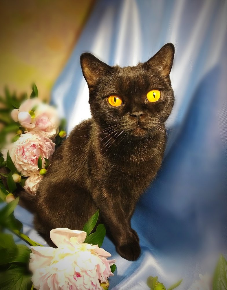 Photograph by Олеся Лосыгина