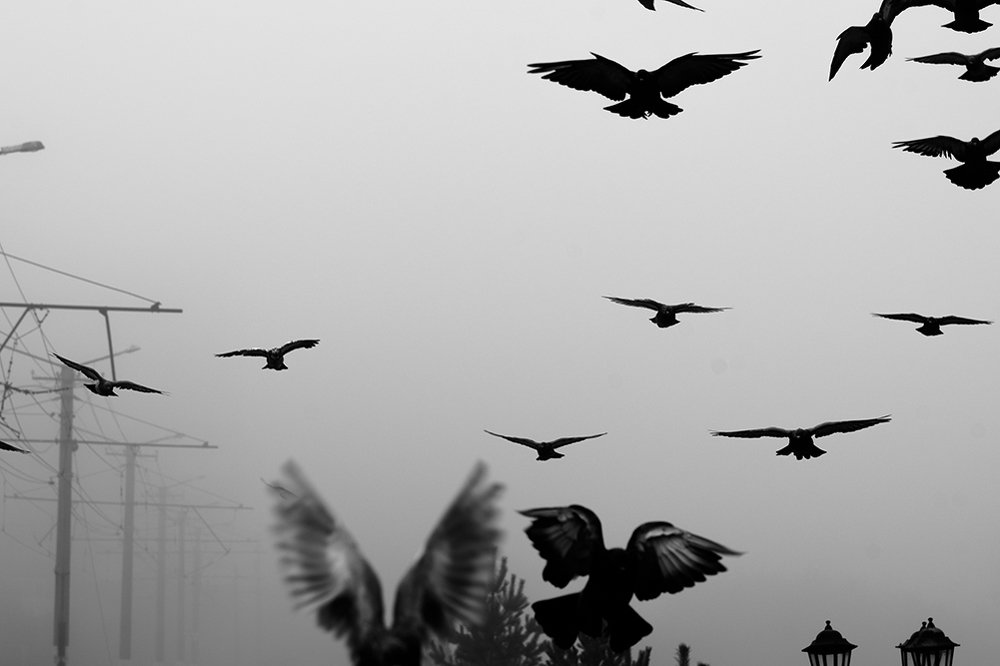 Photograph by Константин Пелых