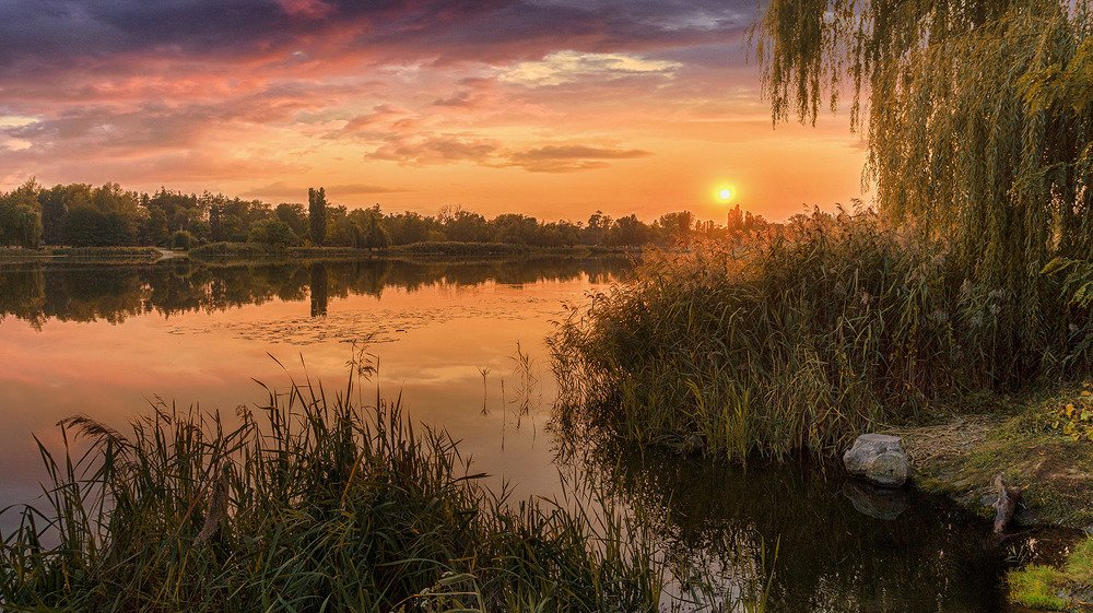 Photograph by Сергей Епишев