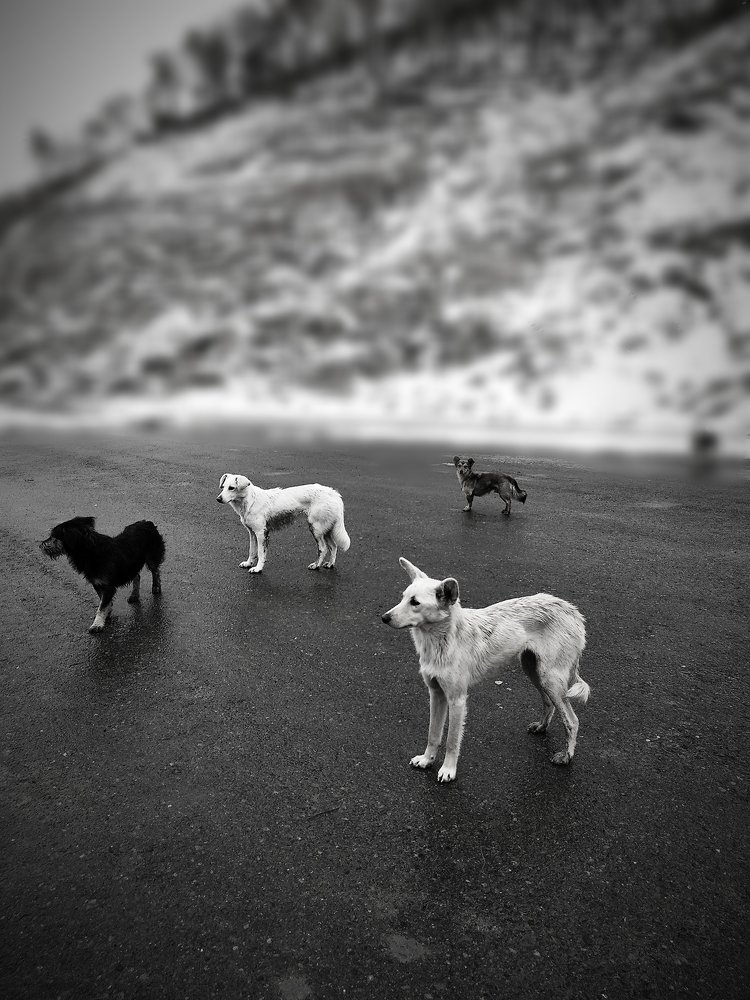 Photograph by Олеся Лосыгина