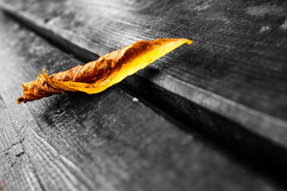 Photograph by Владимир Добрянский