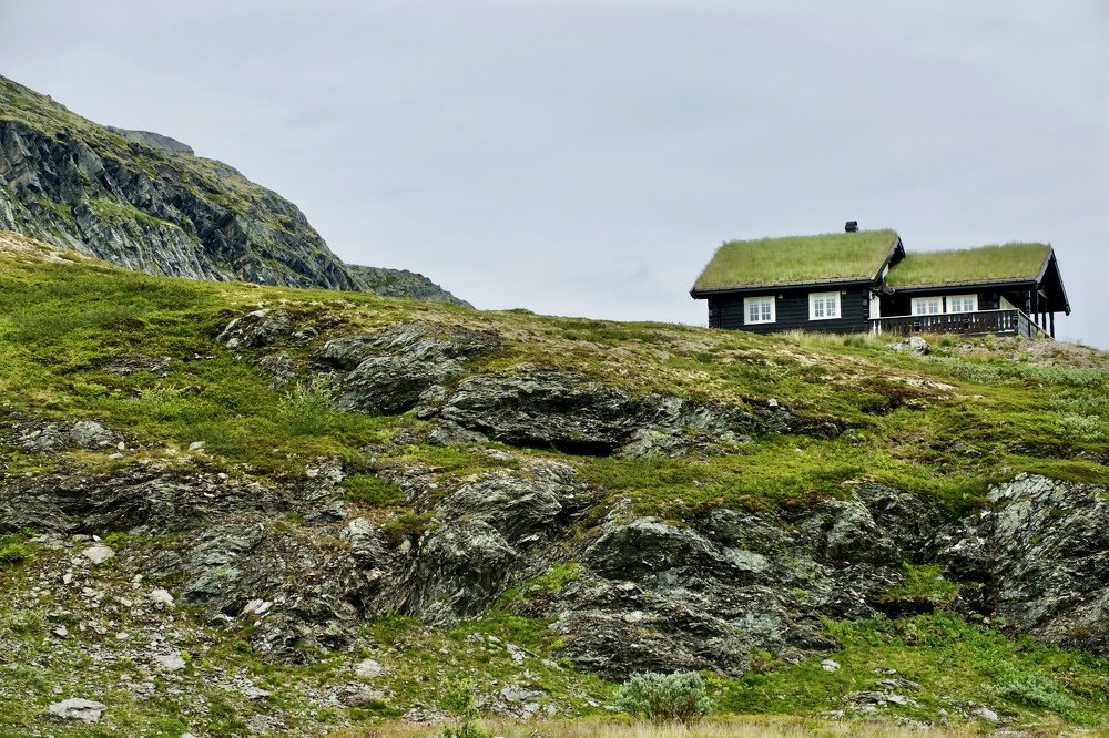 На краю одиночества