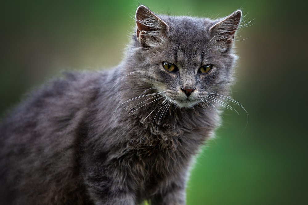 Photograph by Наталия Деркач