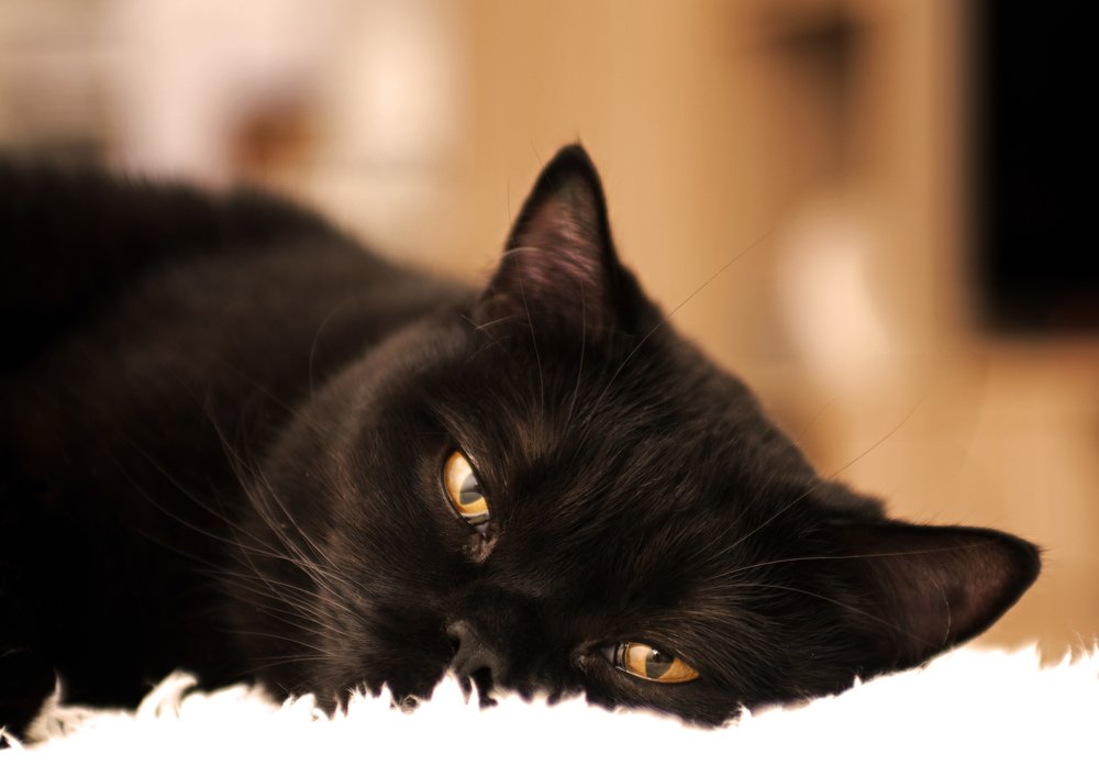 Фотография автора Наталья Татаринова