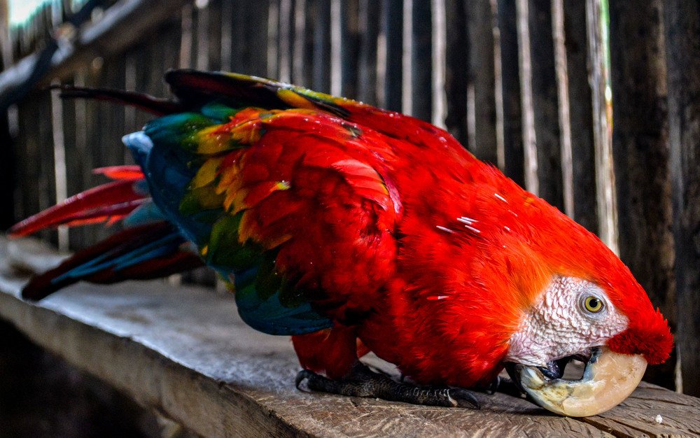 Photograph by Franca Nerea Rueda