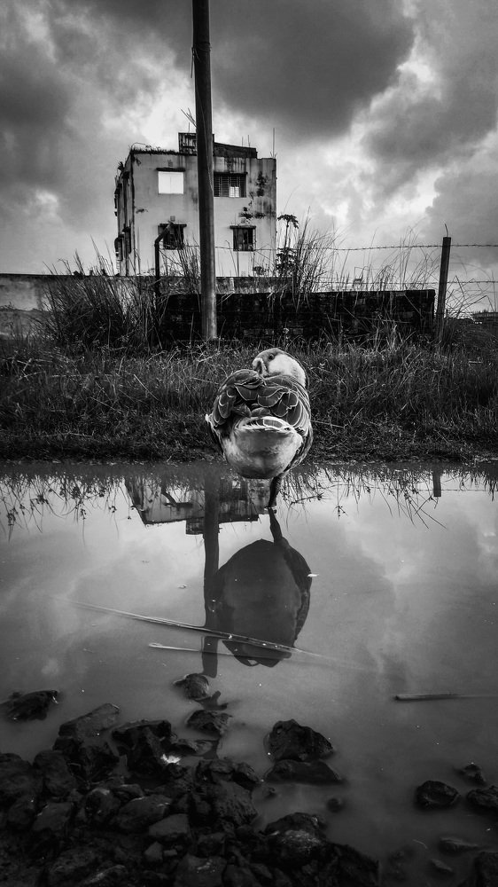 Photograph by Afif Arfan