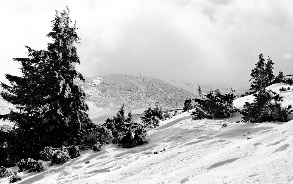 Photograph by Maryna Sydorova