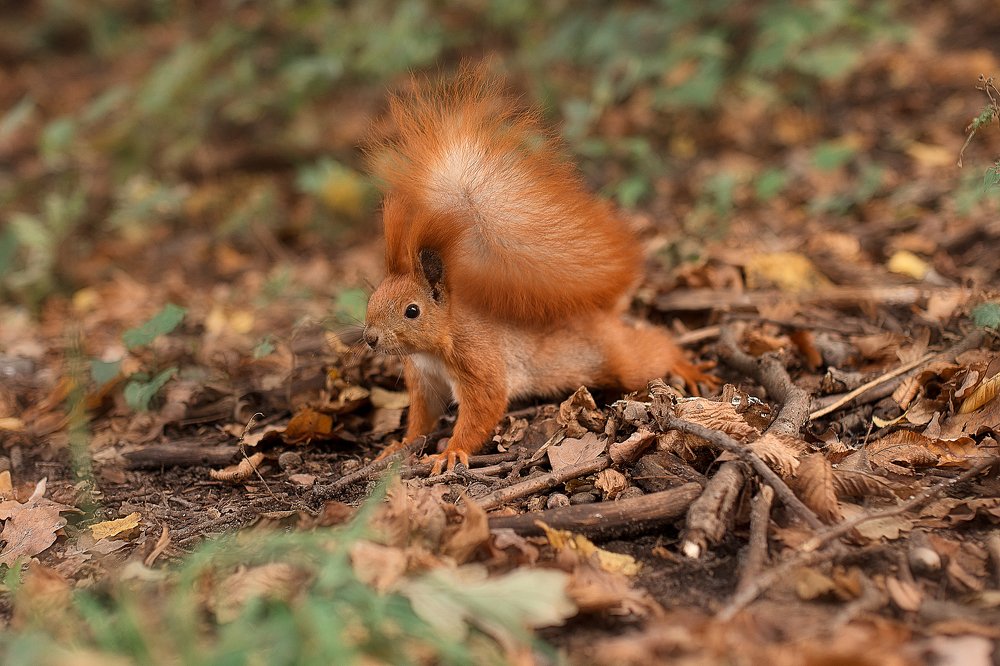 Photograph by Olena Boiko