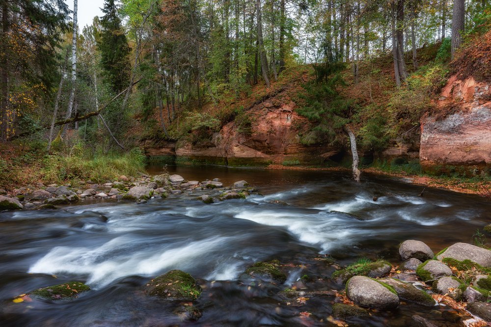 Photograph by Dace Spalviņa