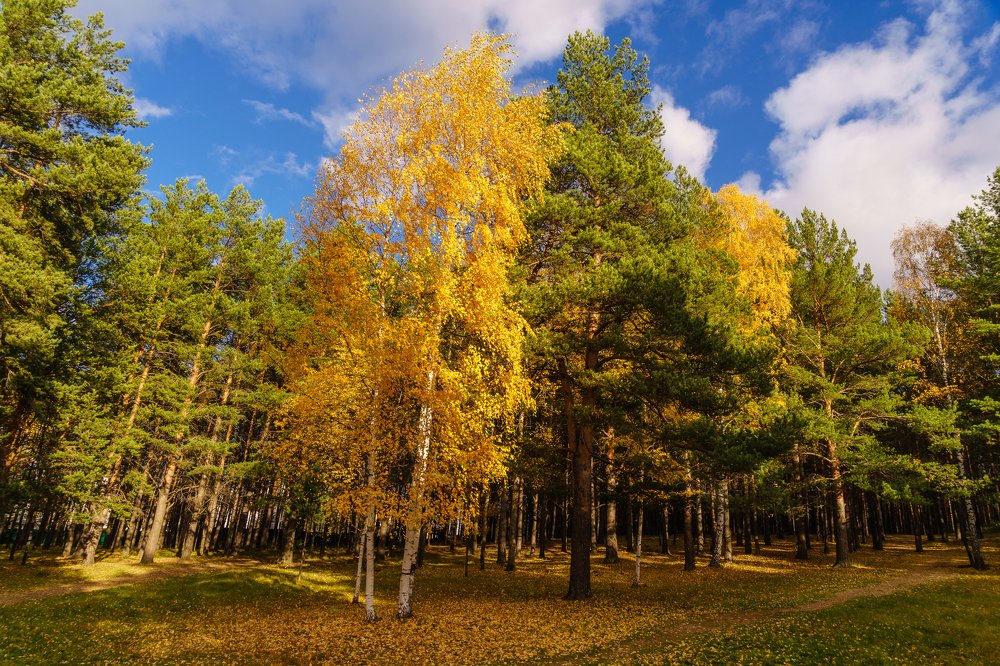 Photograph by Евгений Наймушин