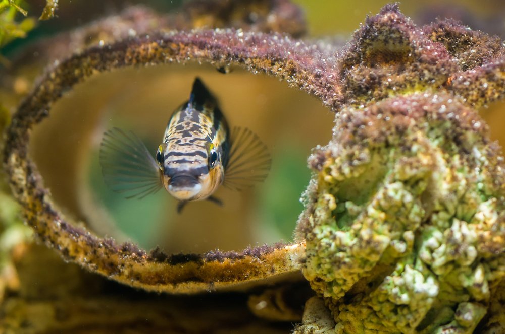 Photograph by Ясинский Юрий