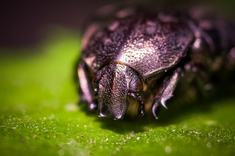 Photograph by Ясинский Юрий