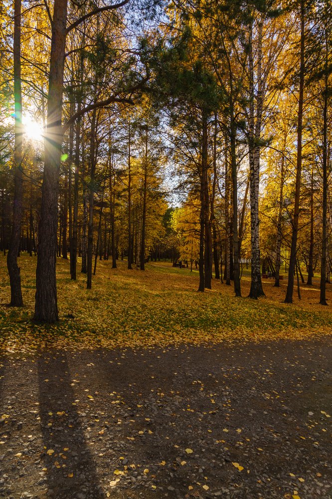 Photograph by Евгений Наймушин
