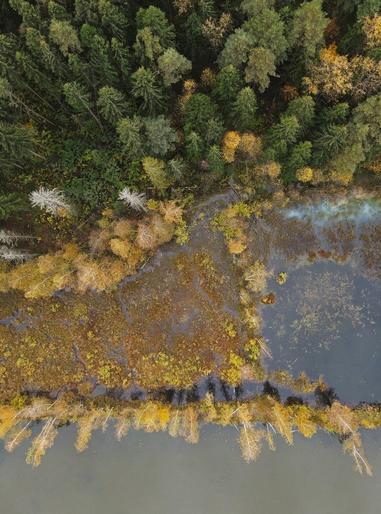 Photograph by Куликова Ирина