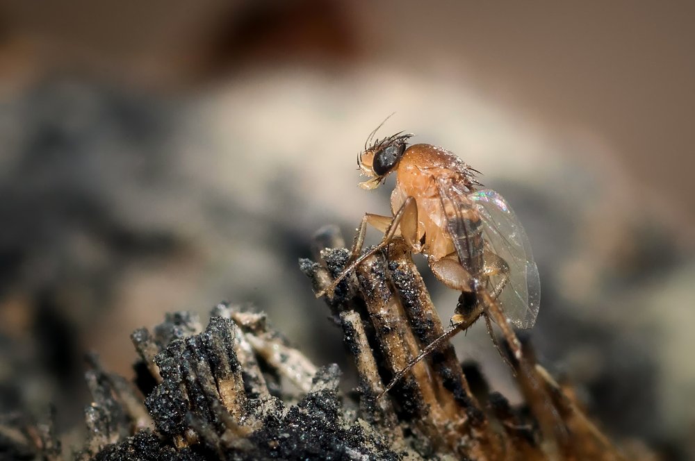 Photograph by Ясинский Юрий