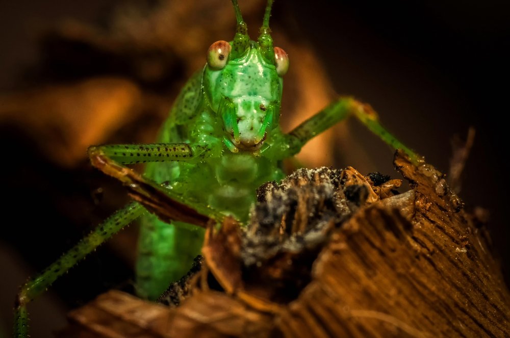 Photograph by Ясинский Юрий