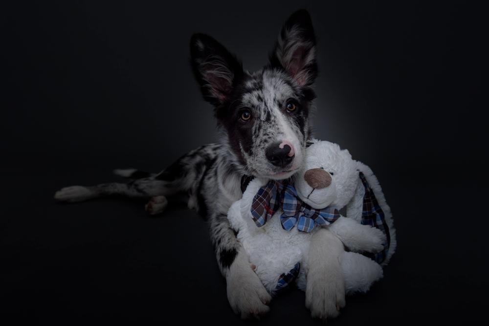 Фотография автора Natalia Starikova