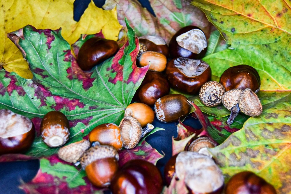 Photograph by Александр Кириков