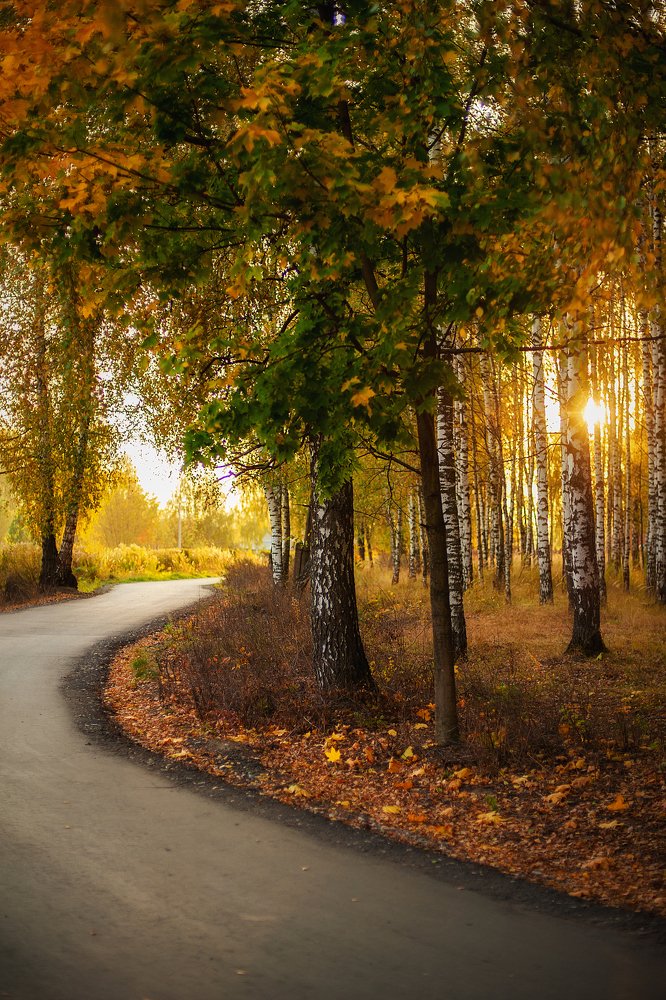 Photograph by Юлиана Джус