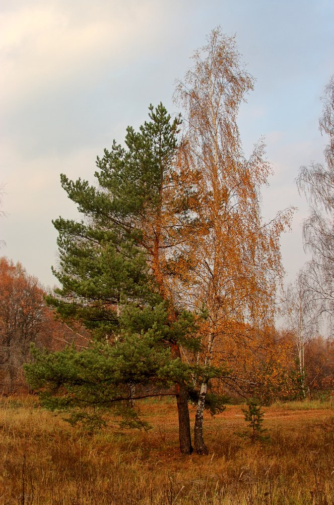 Photograph by Алексей Федулов