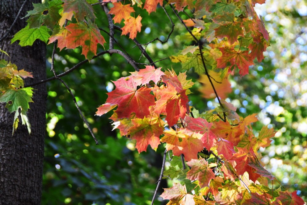 Photograph by Galina Leskova