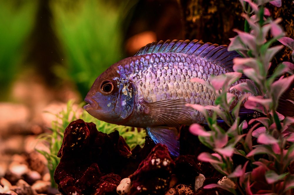 Photograph by Анастасия Донская