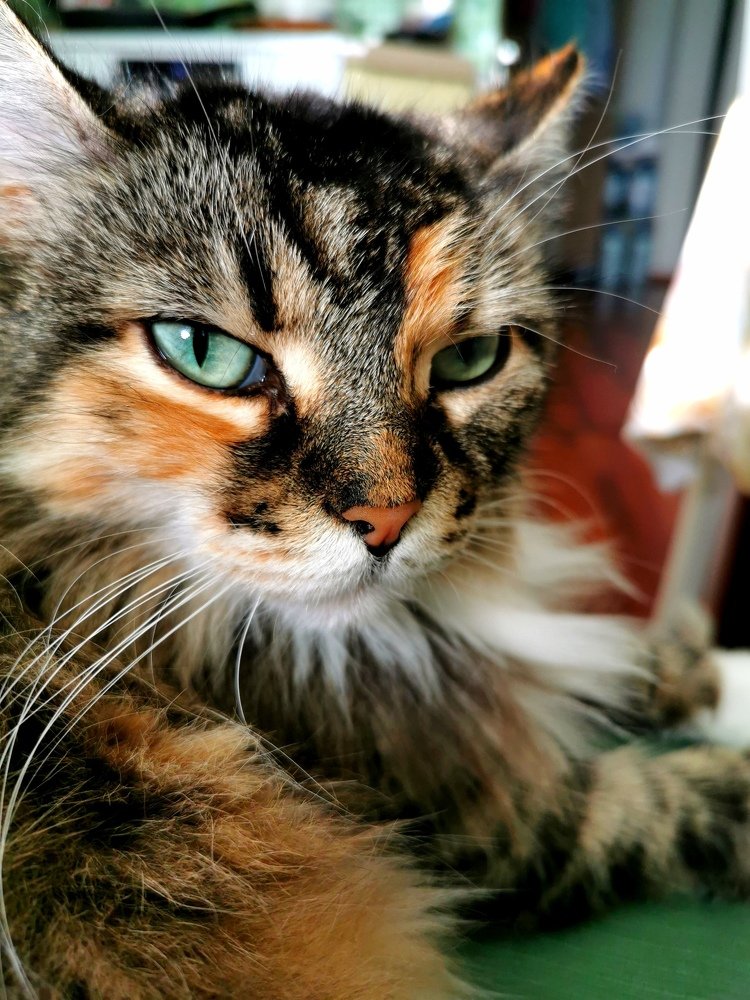 Photograph by Елена Артёменко