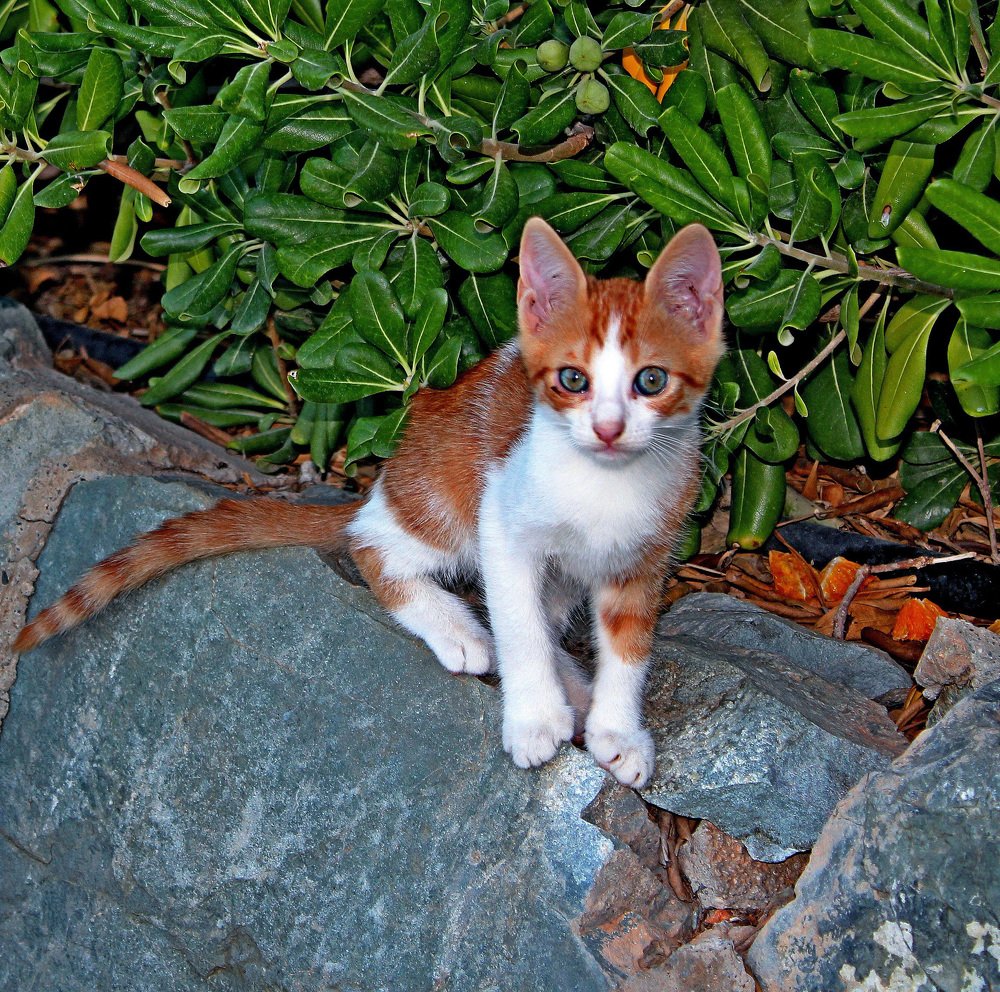 Photograph by Александр Бугаенко