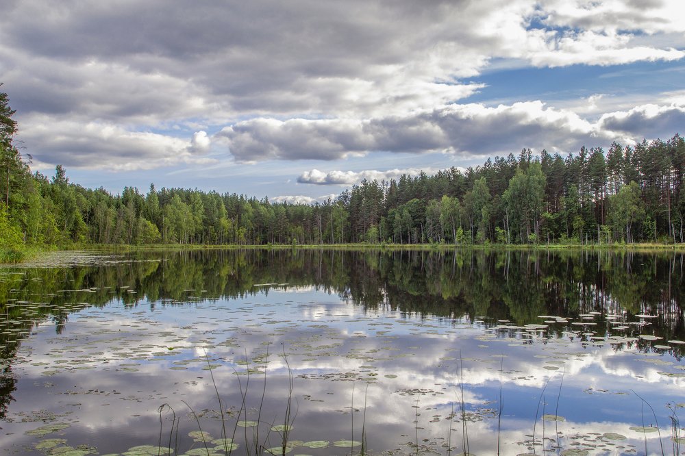 Photograph by Елена Гусева