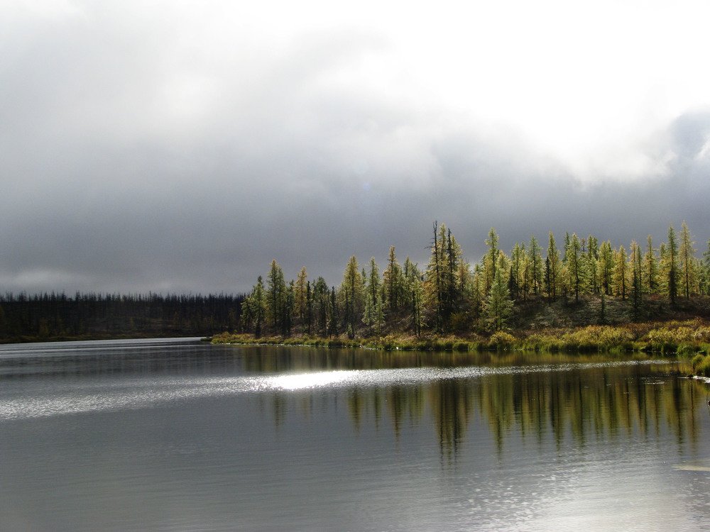 Photograph by Алексей Логинов