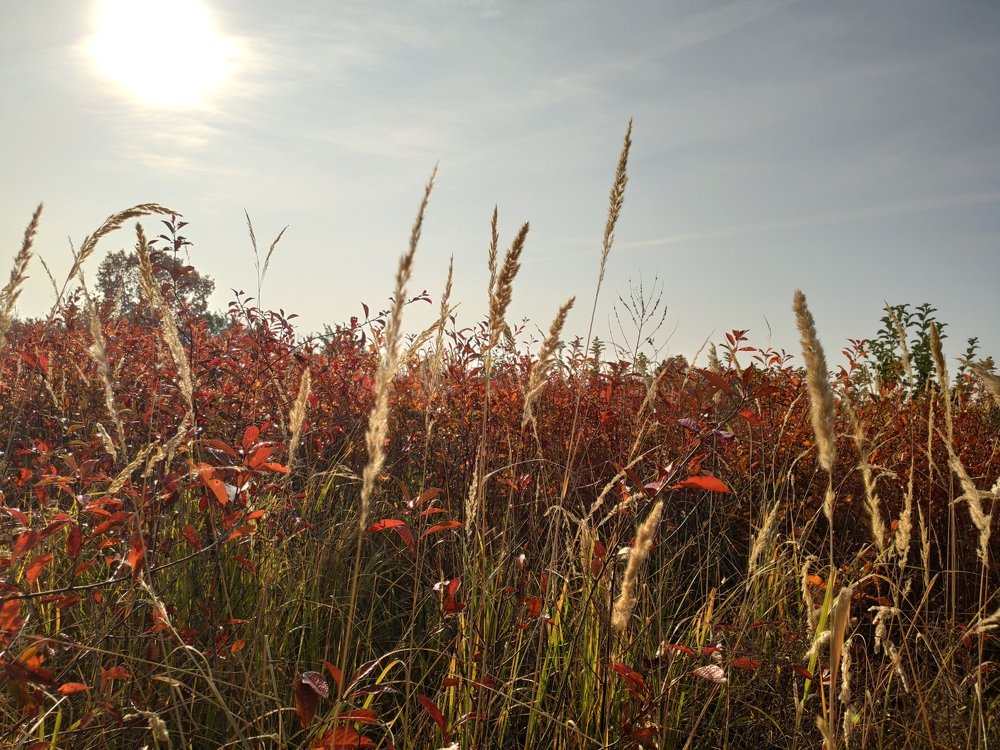 Photograph by Евгений Артемьев
