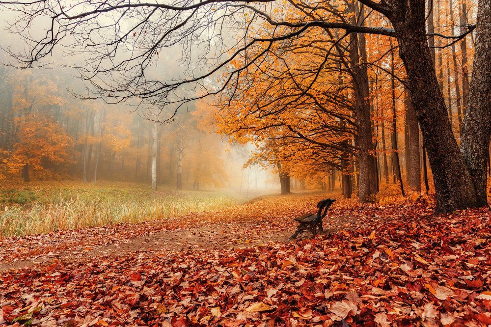 Photograph by Serg Grit