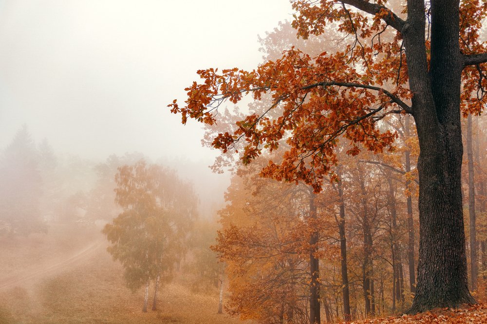 Photograph by Serg Grit