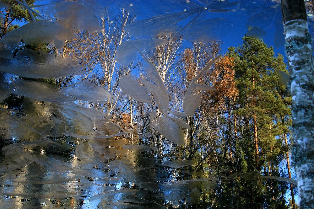 Photograph by Алексей Федулов