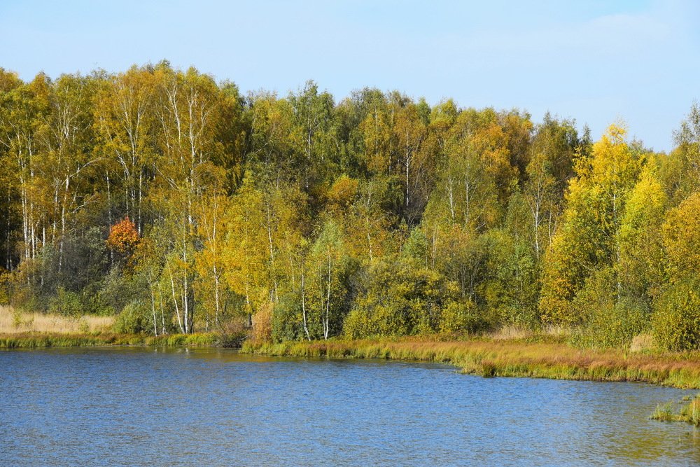 Photograph by Galina Leskova