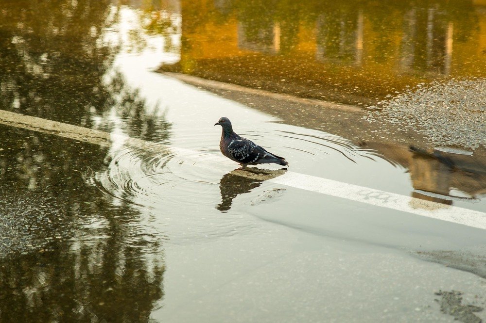 Photograph by Светлана Абзалилова