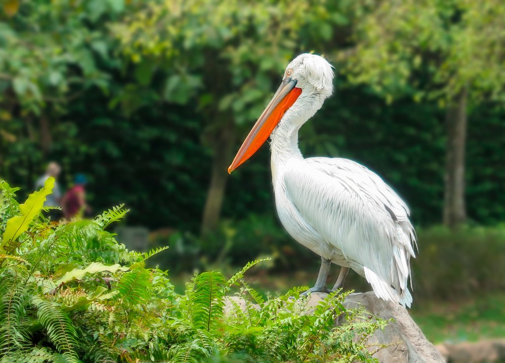 Photograph by Evgeniia Iakimenko