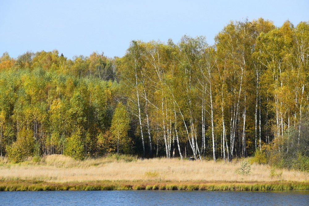 Photograph by Galina Leskova