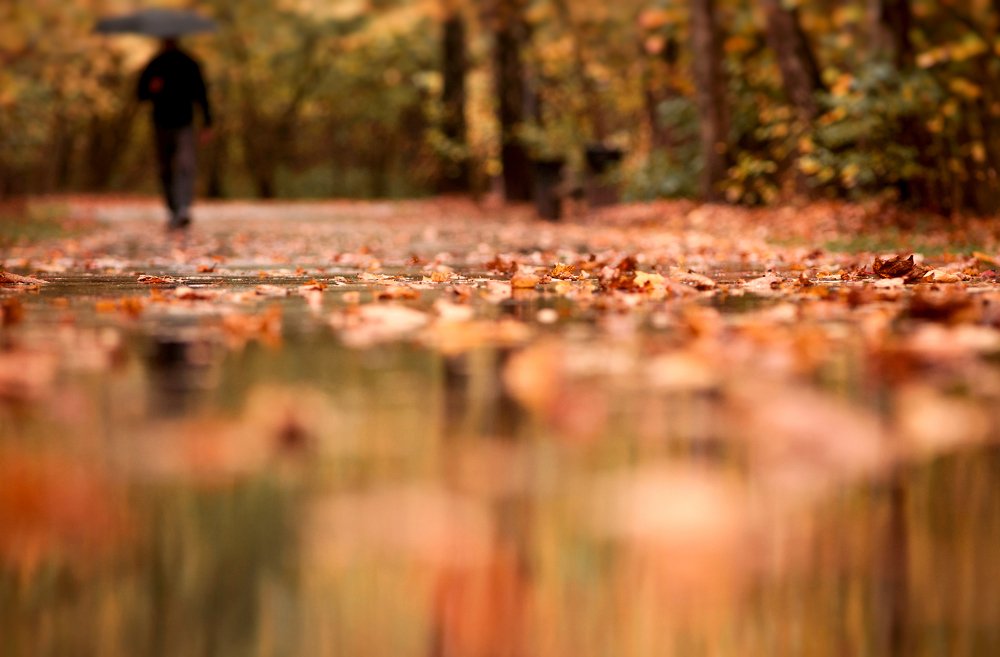 Photograph by Оксана Зверева