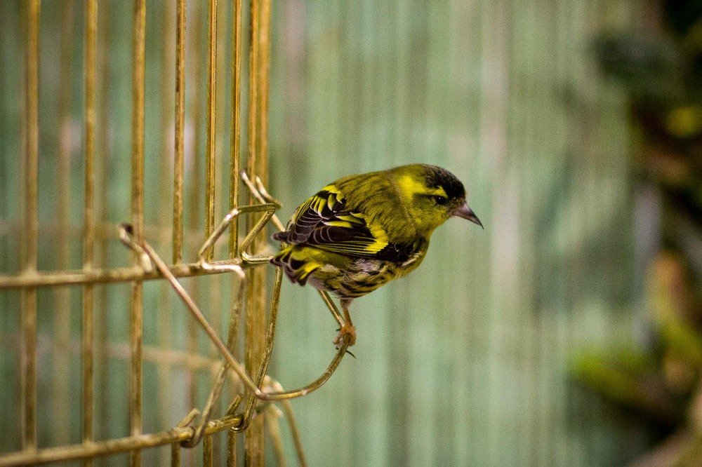 Photograph by Светлана Абзалилова