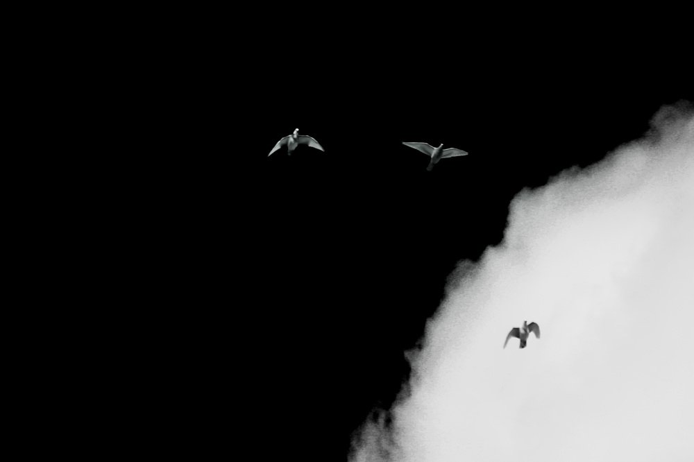 Photograph by Hussein Twaj