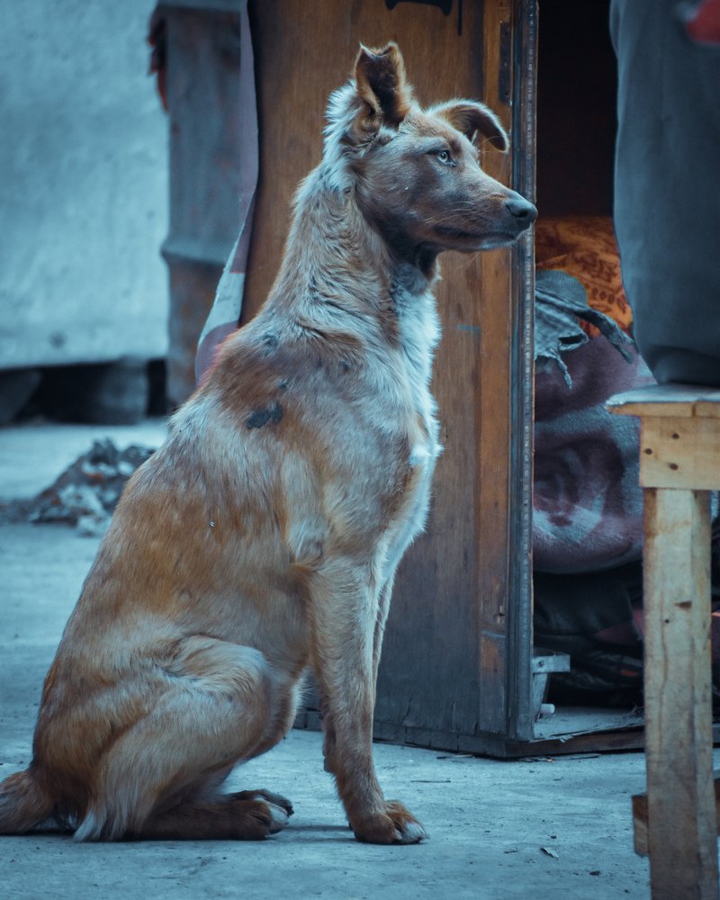 Photograph by Aditya Sahu